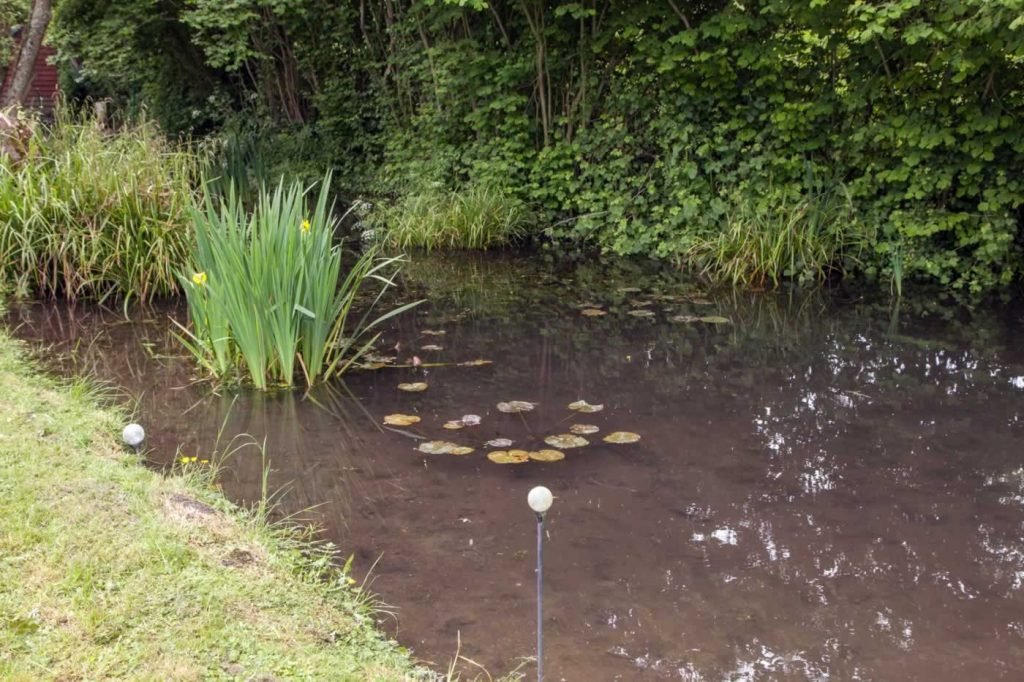 Hembury Pond