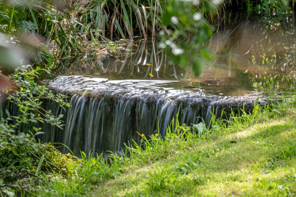 Stream at Hembury Mill